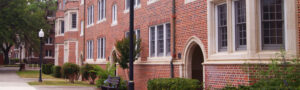 The University of Florida