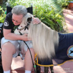 Rainbow visiting at Shands Hospital