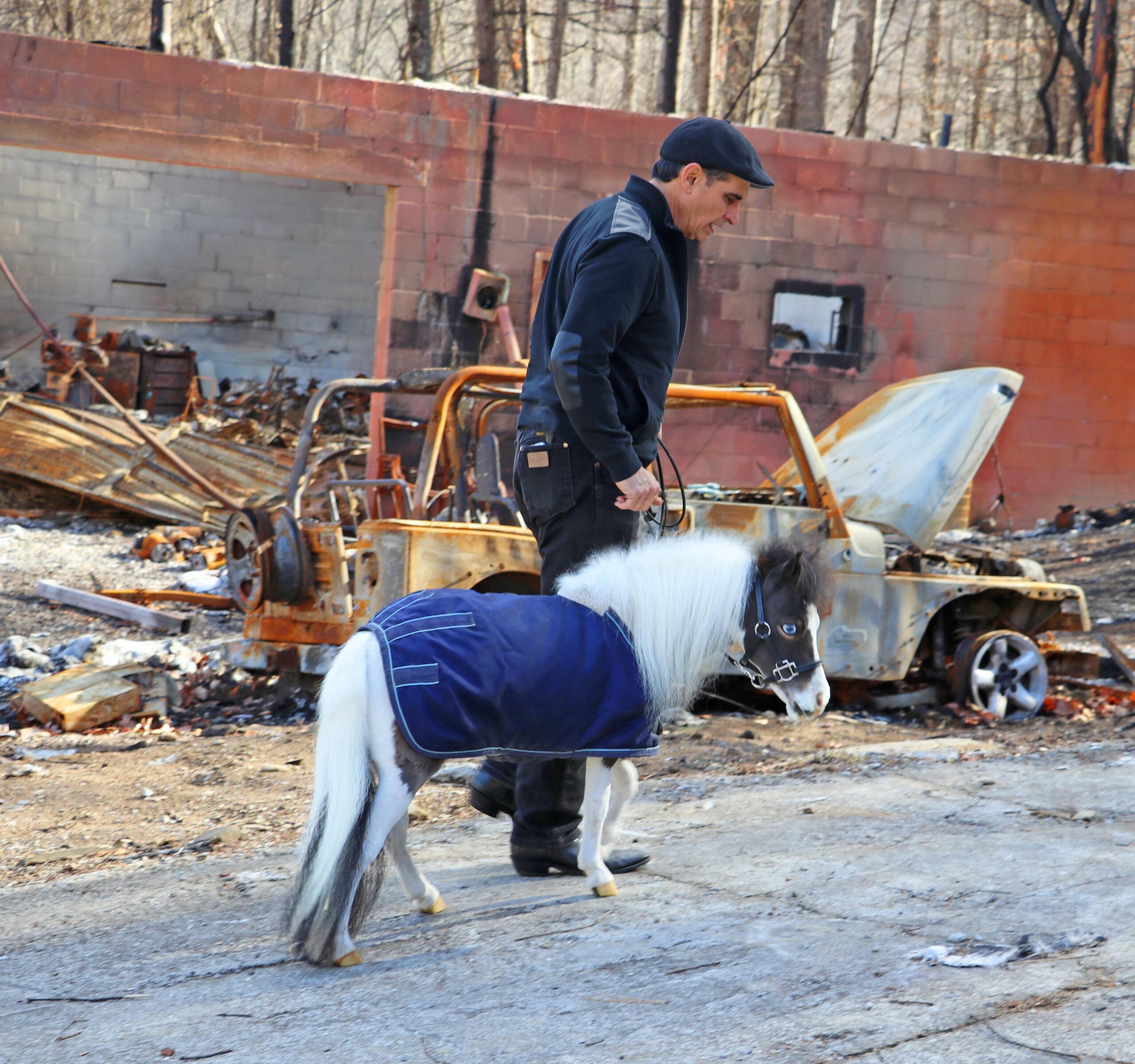 Scout visiting after Gatlinburg fire.