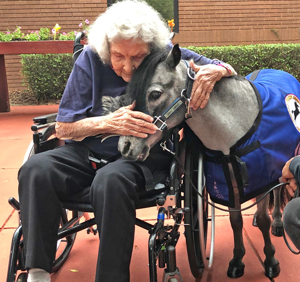 Sparkle visiting a patient.