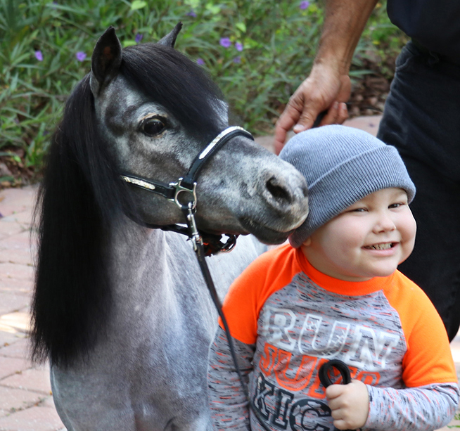 Aquarellum Mini - Horses - Cheeky Monkey Toys