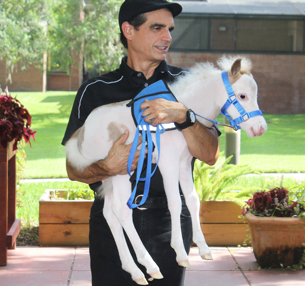 Little Takoda being carried in the arms of his trainer.