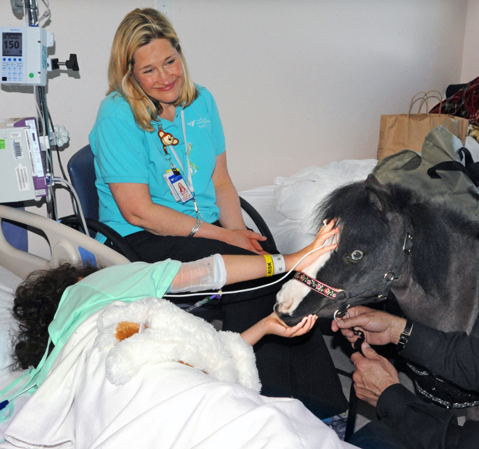 A miniature horse visiting a patient at New Haven's Children's Hospital.