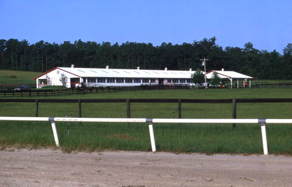 A barn at Bridlewood circa 1969.