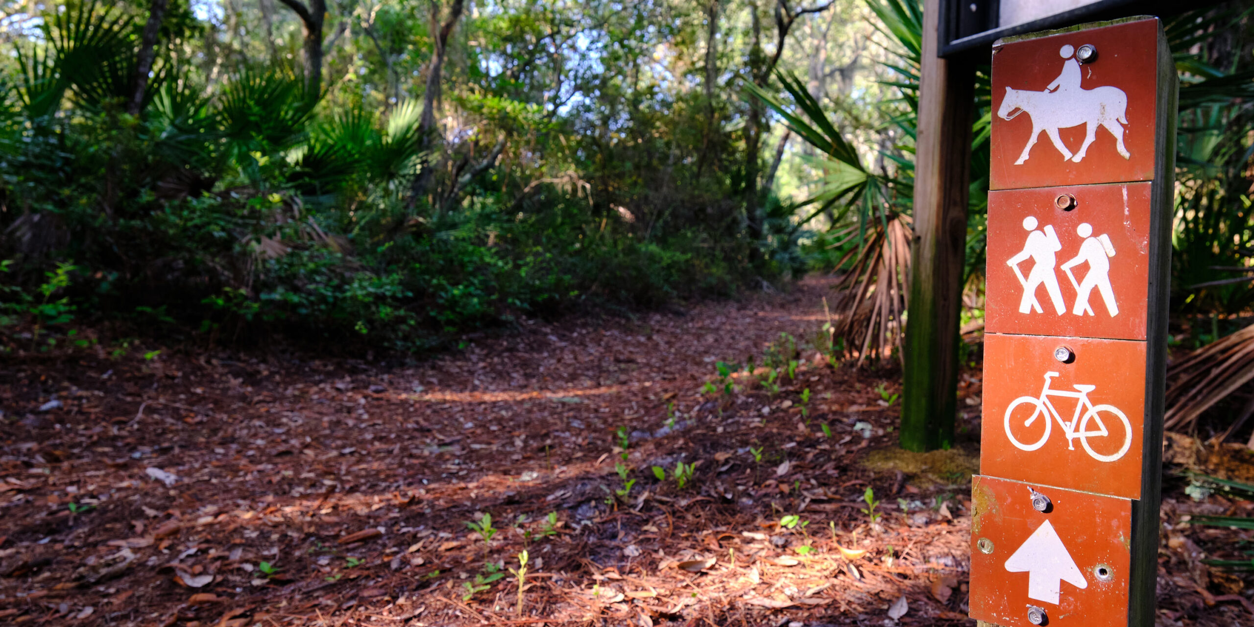 A hiking trail for riders, bikers, and hikers.