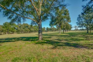 The land at Horse Park Lane.