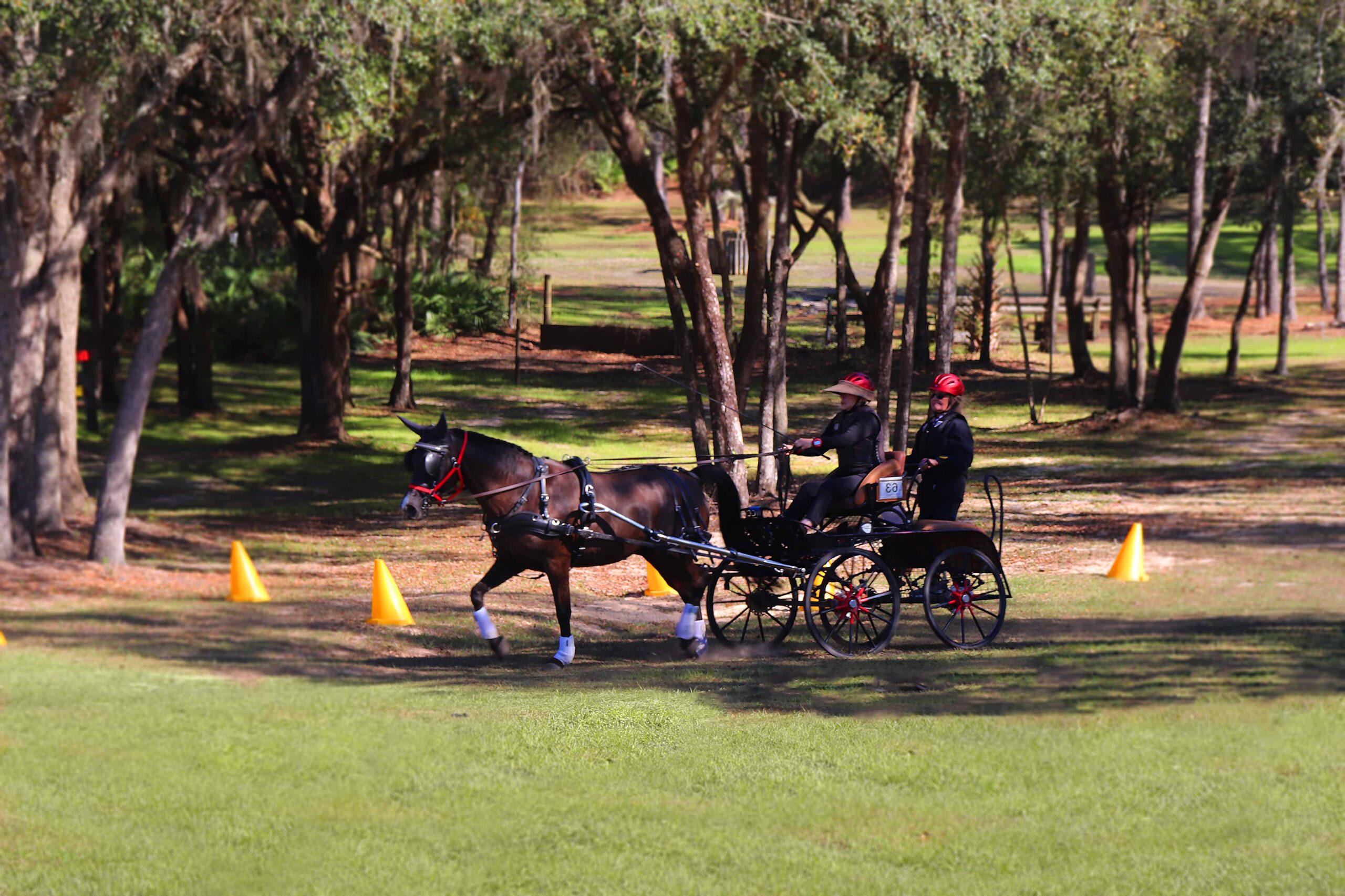 A driving event at Black Prong