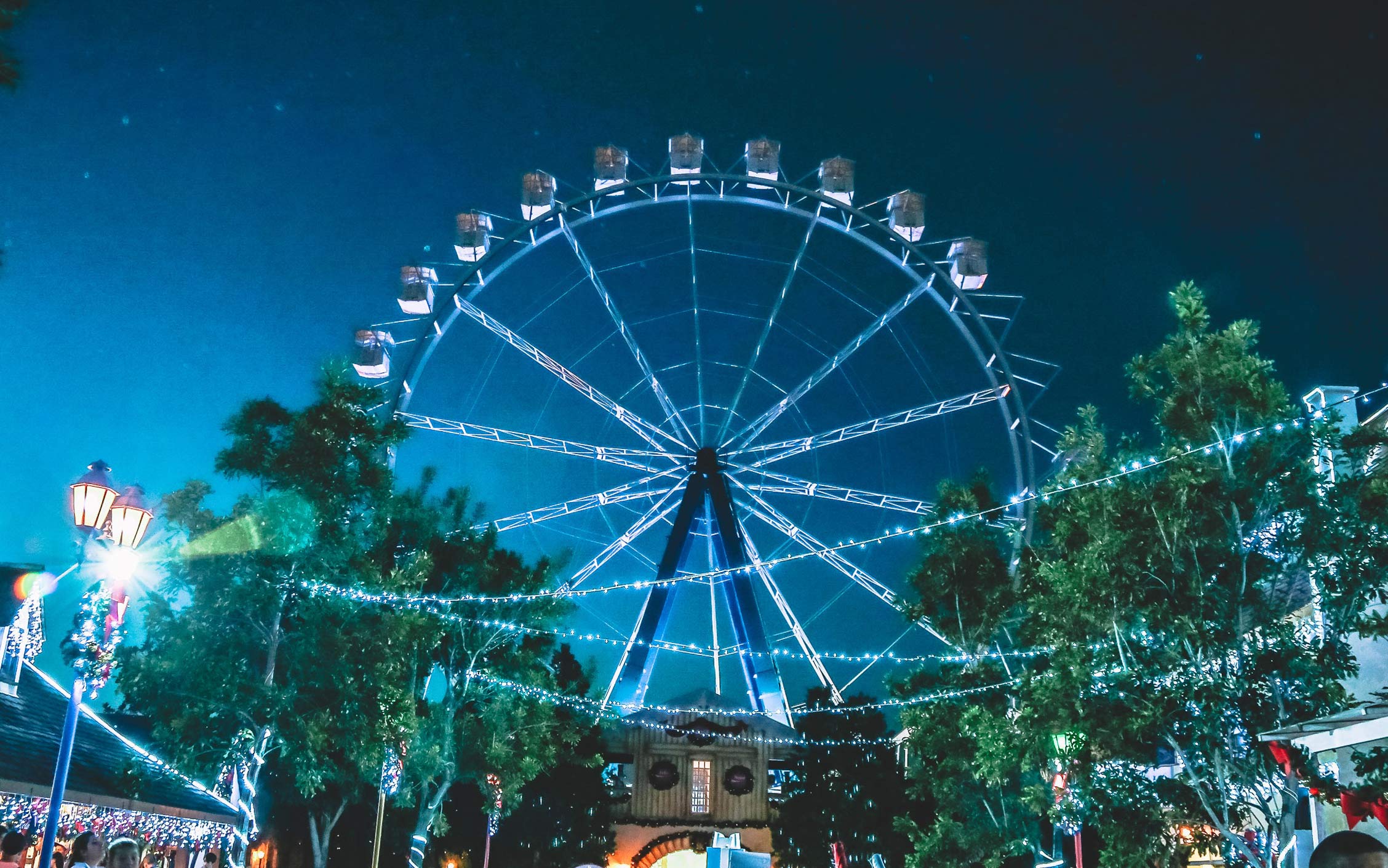 A ferris wheel at night