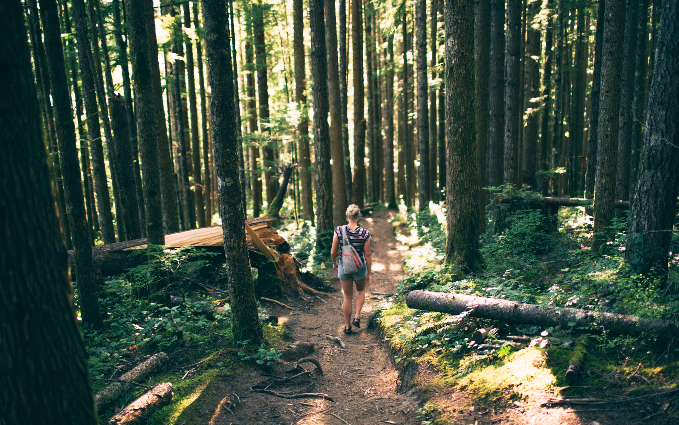A woman hiking in the forest.