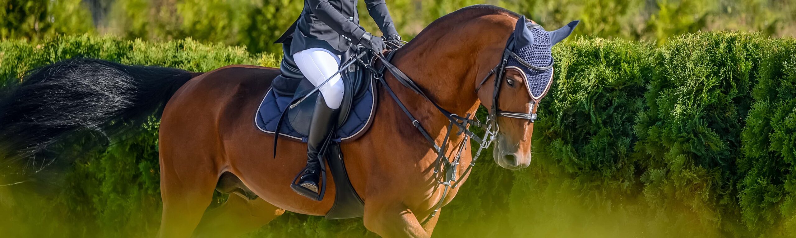 Three people driving a team of horses across a park.