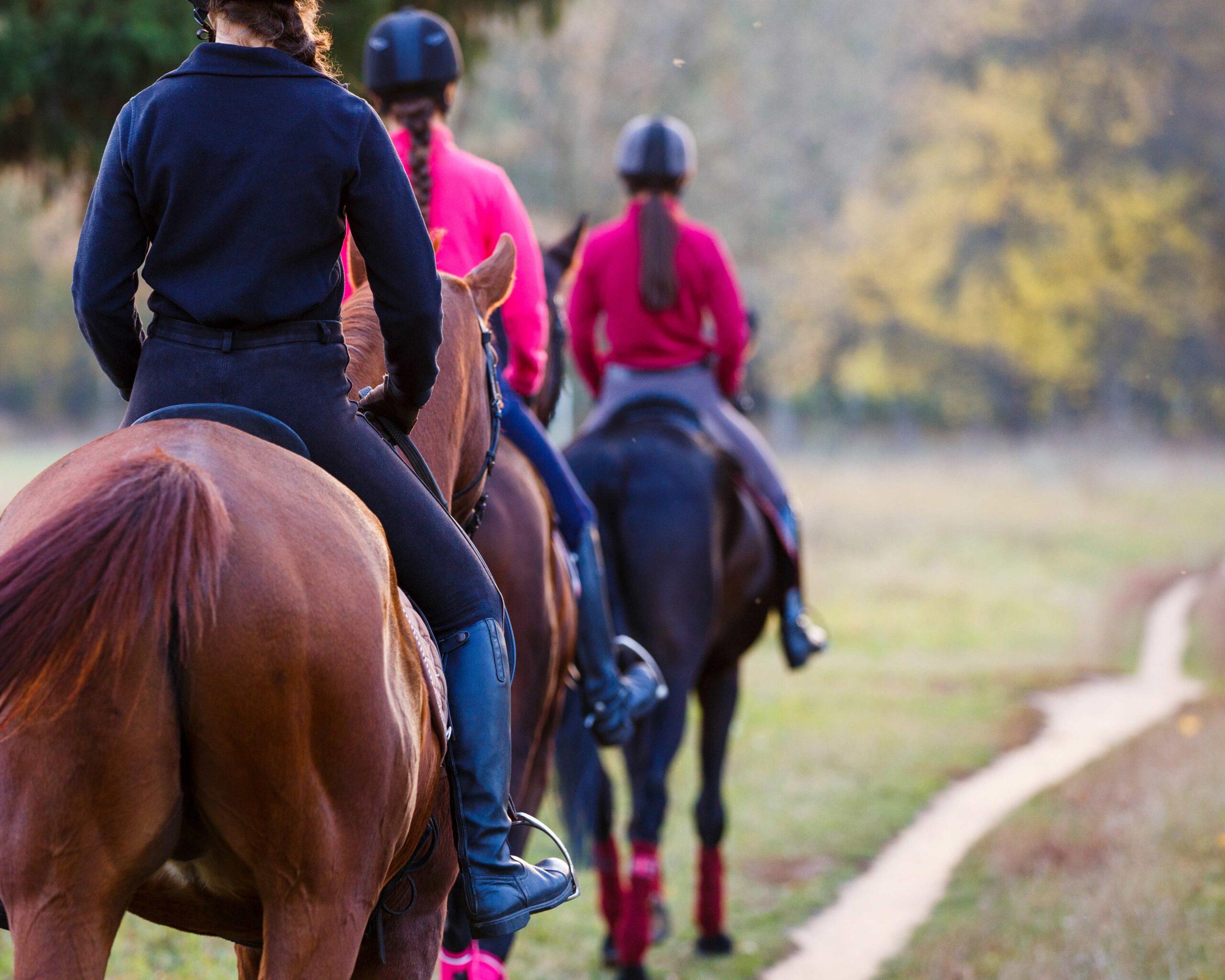 Riders on a trail.