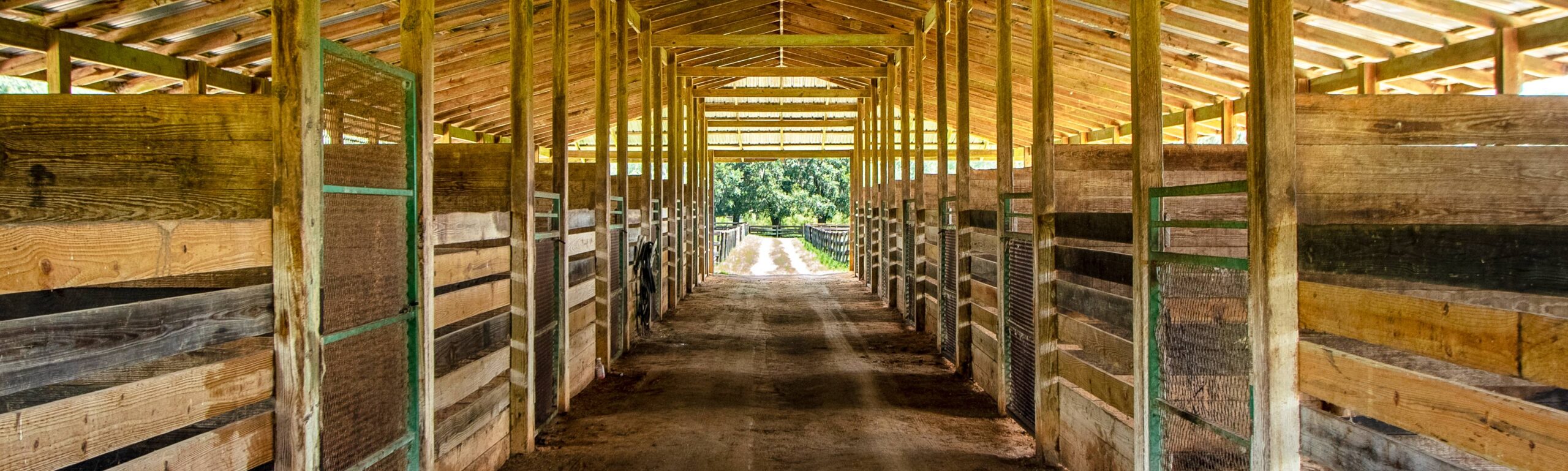 Inside one of the Marion County horse farm's barns.