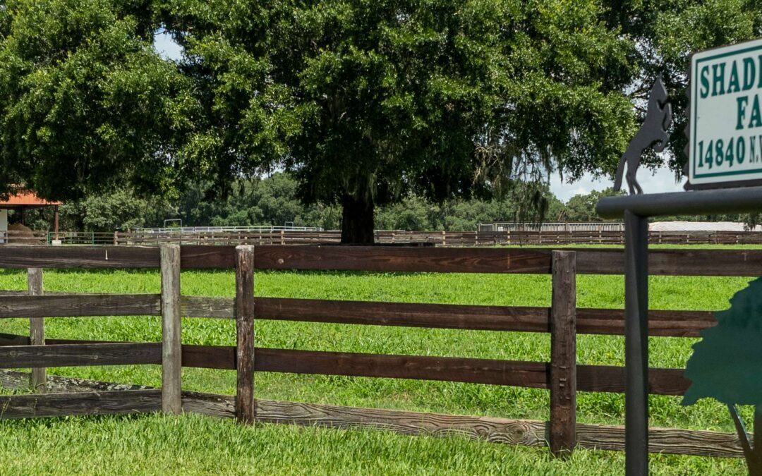 Iconic Horse Farms | Shade Tree Farm