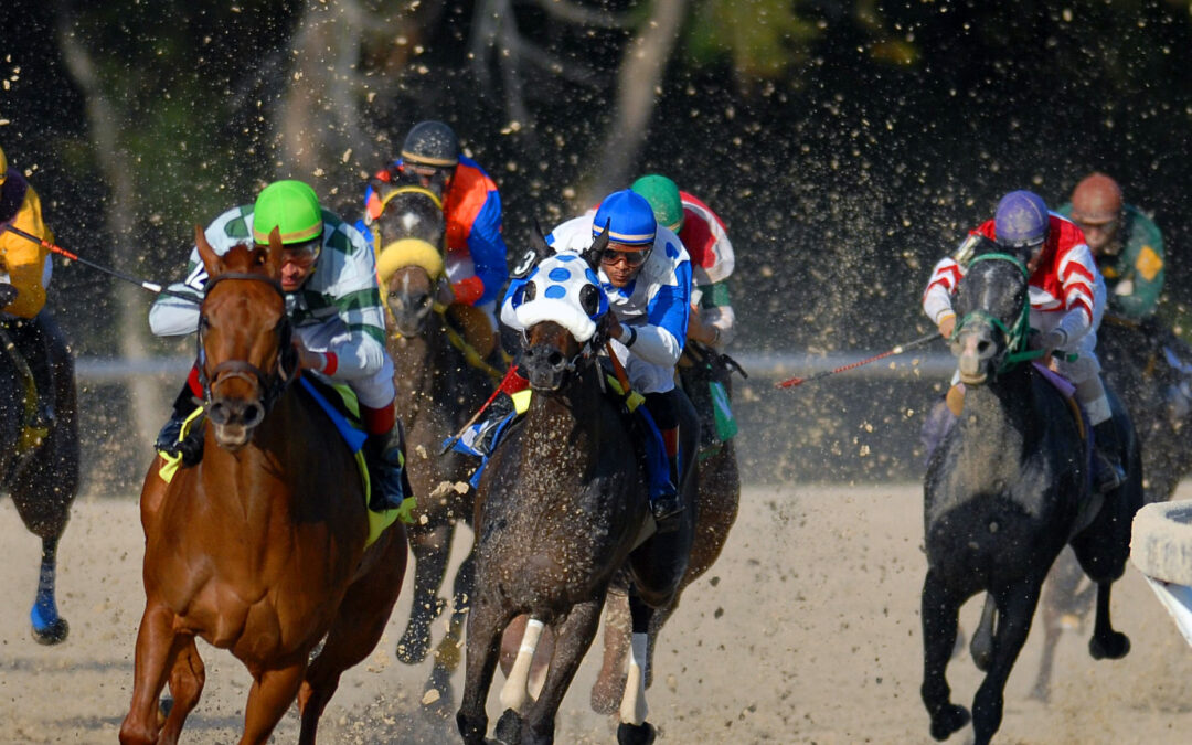 Preakness Contenders with Florida Connections