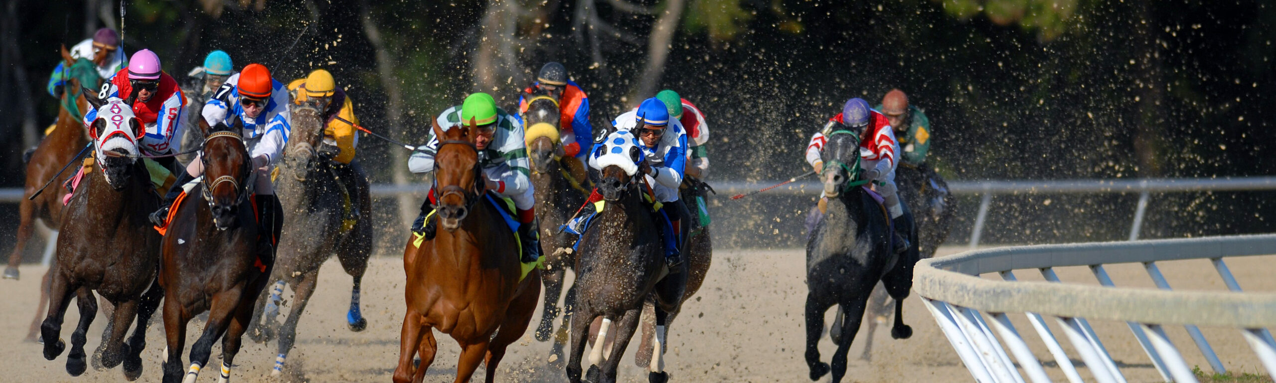 Horses racing on a track.
