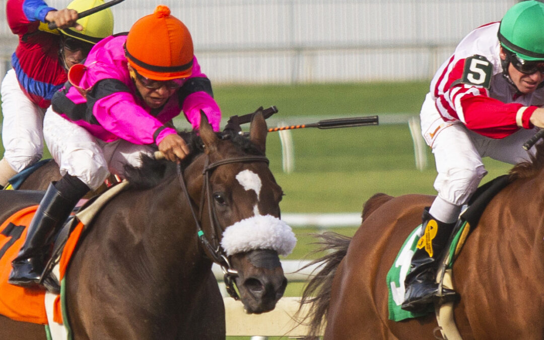 Kentucky Derby Contenders With Florida Connections