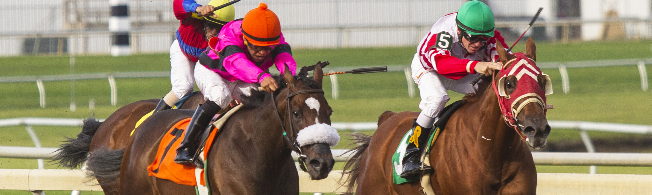 Jockeys race the horses down the track.