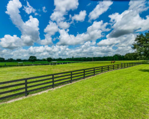 A beautiful Ocala pasture.