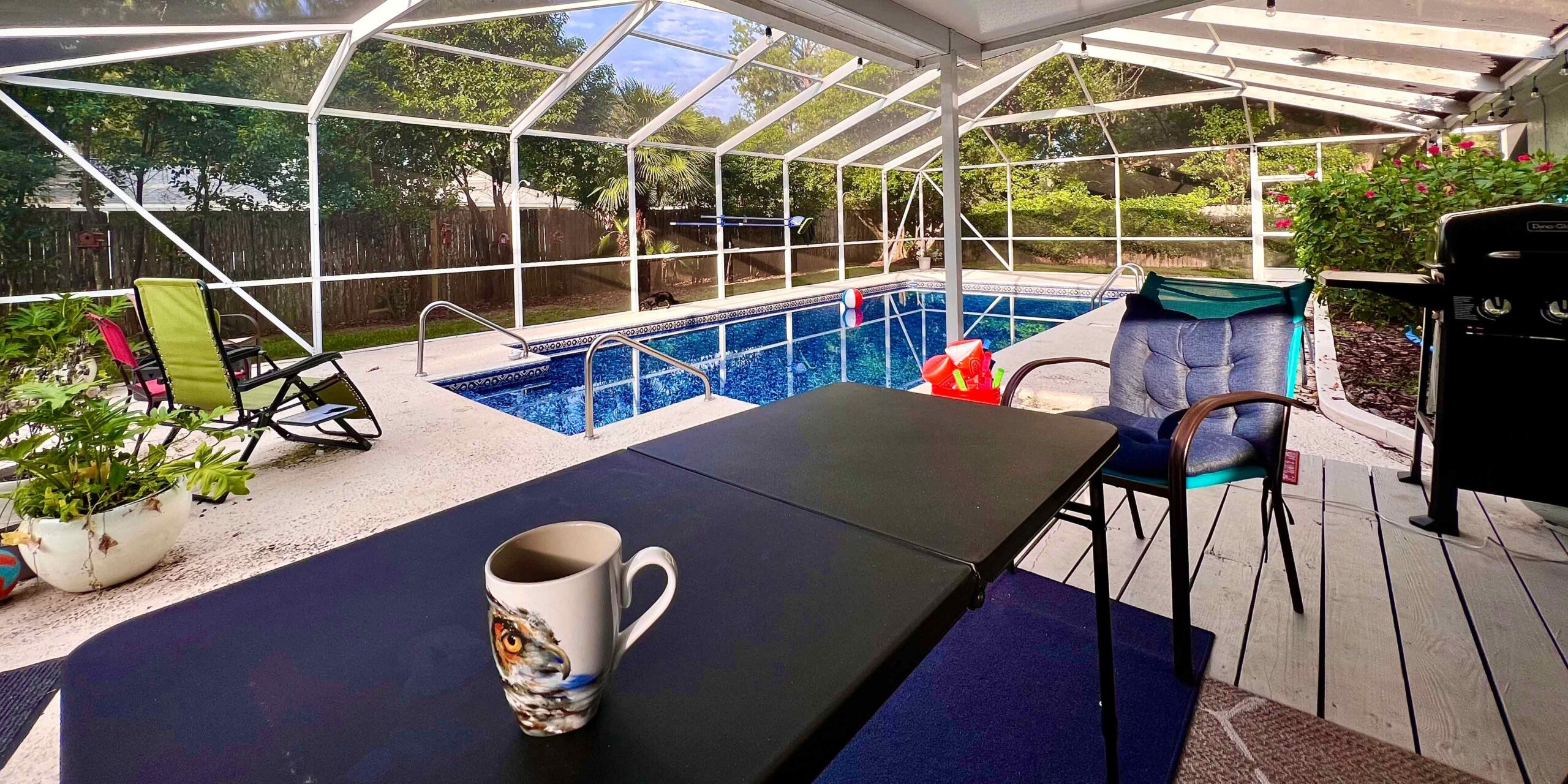 Heather's lovely pool and backyard with bird area.