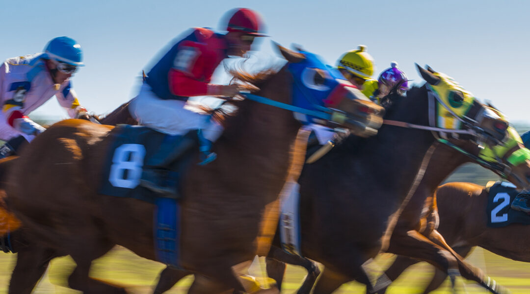 Belmont Contenders with Florida Connections