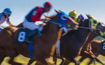 Belmont Contenders with Florida Connections