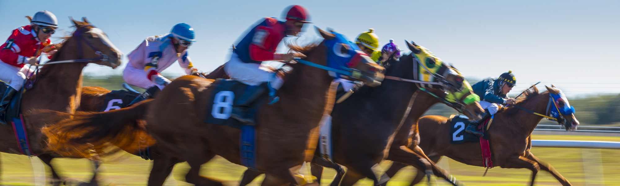 Horses racing on a track.