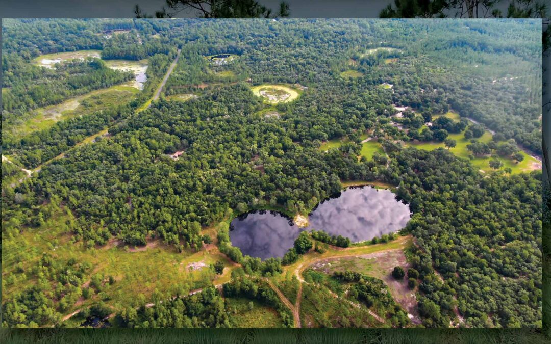 Circle S Ranch | A Premiere Deed Restricted Hunting Community