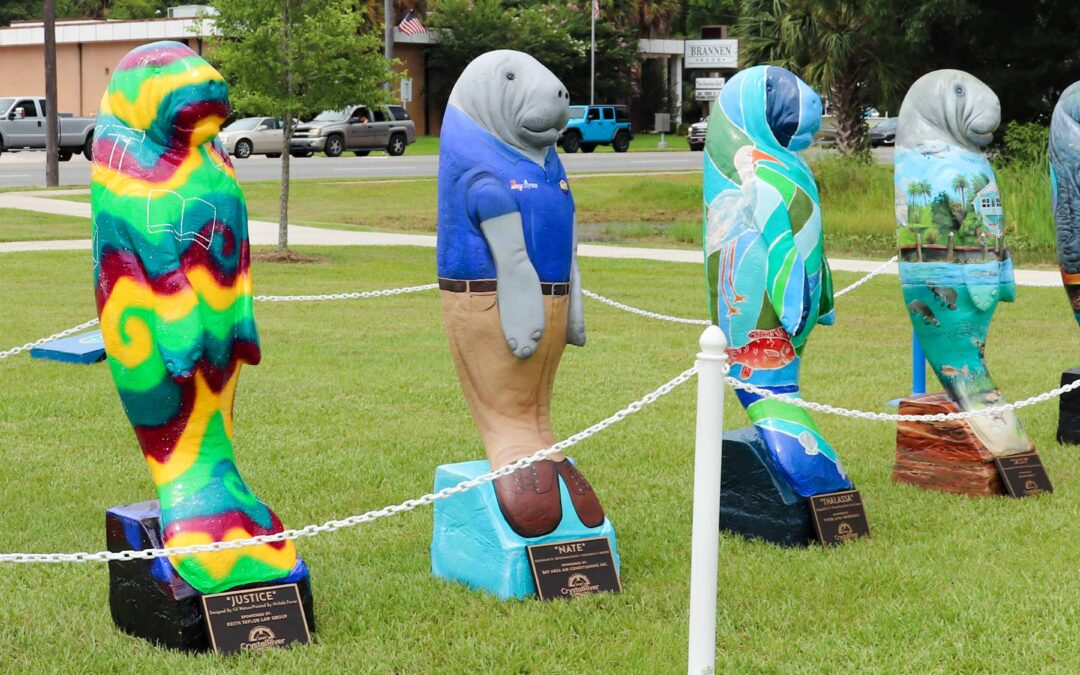 Showcase Properties Presents | Manatee Artists Unveiling July 1, 2022