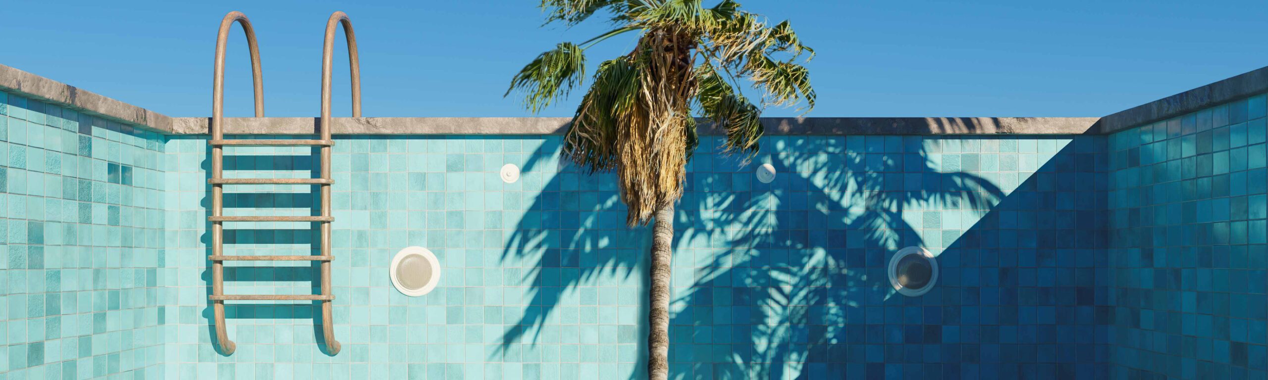 A tree growing in dried up pool.