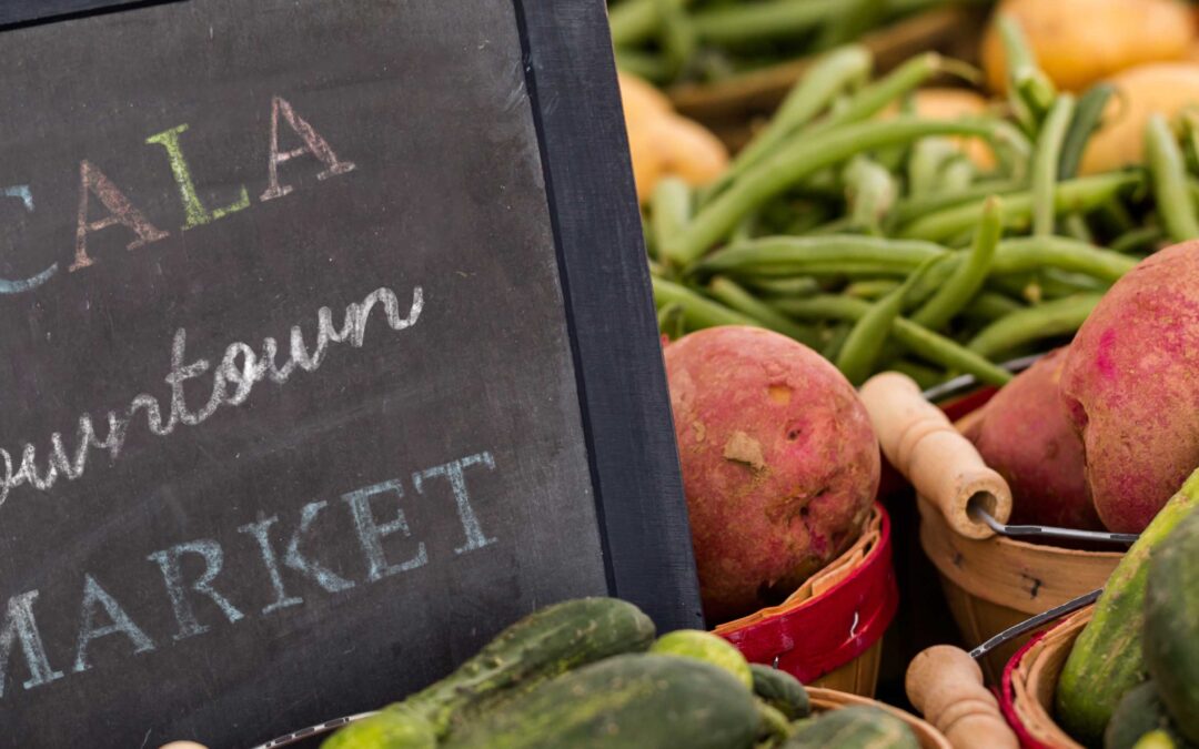 Ocala Downtown Market | Dawn Bowman