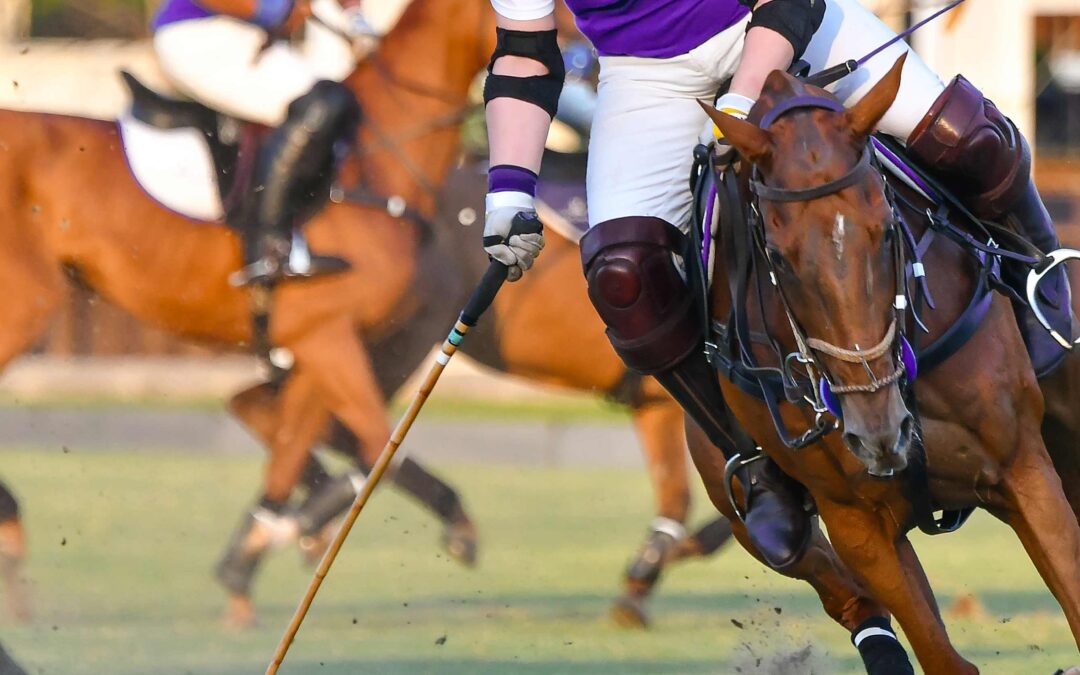 Polo is Back December 2022!