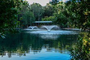An image of the fountain at Sholom Park in Ocala, FL.