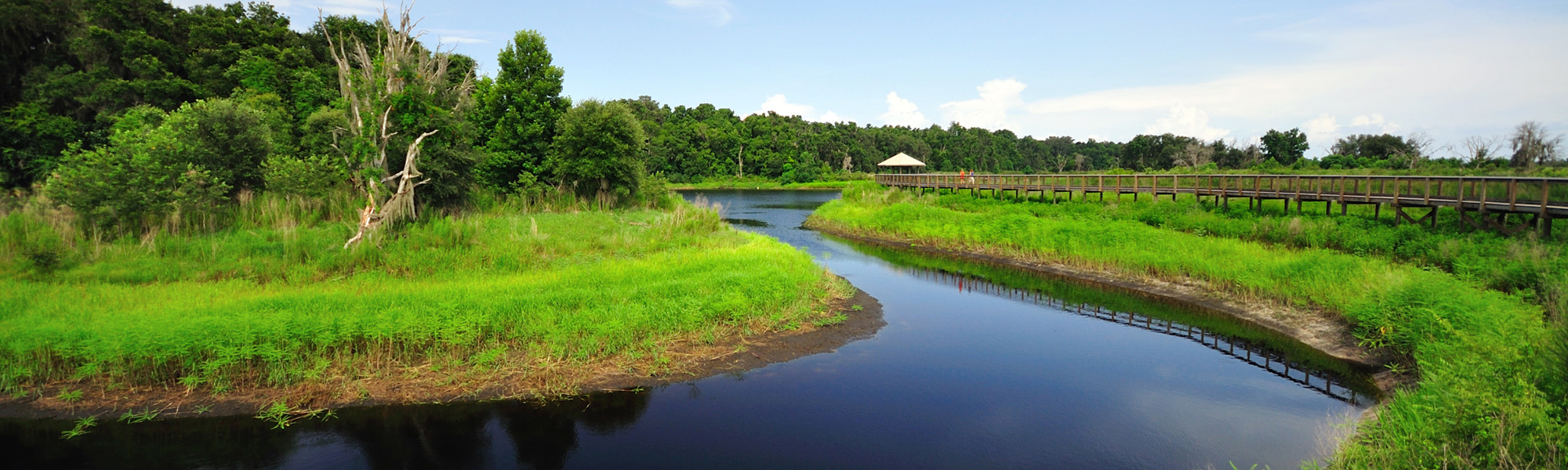 A,Water,Bend,At,Paynes,Prairie,Preserve,State,Park