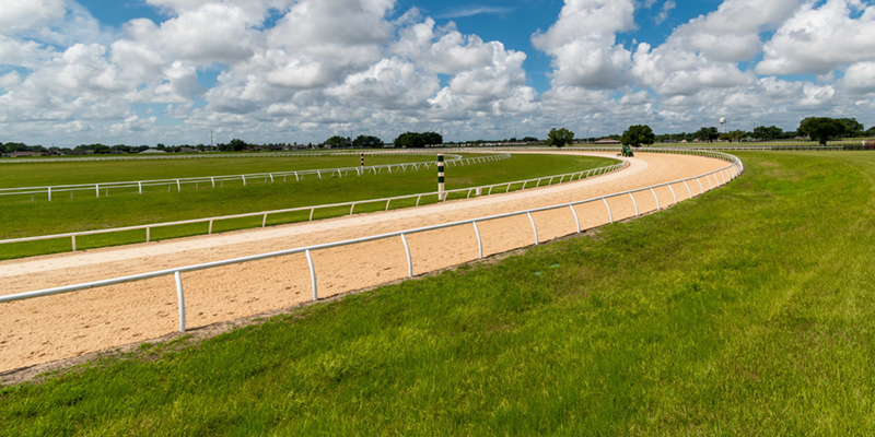 The track at the iconic Winding Oaks Farm.