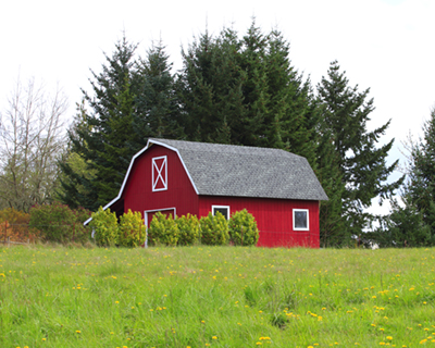 A gambrel roofed red barn.