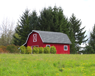 Red,Barn-house,In,A,Country. A gambrel roofed red barn.