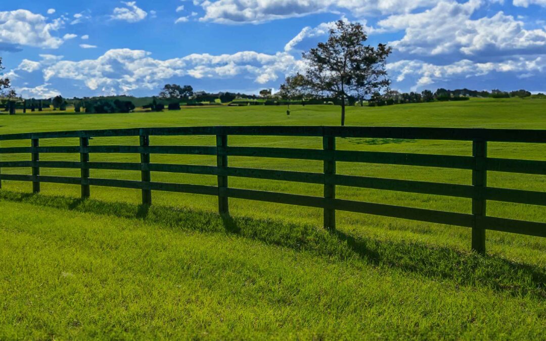 Get Familiar with Equine Fencing in Central Florida