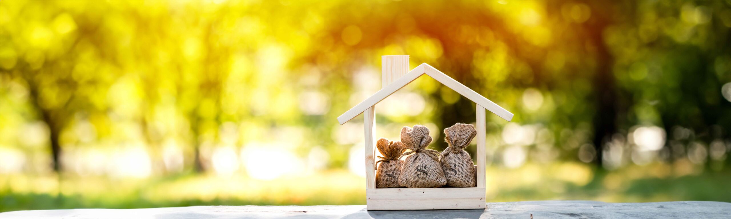 Money bags inside a tiny model of a house.