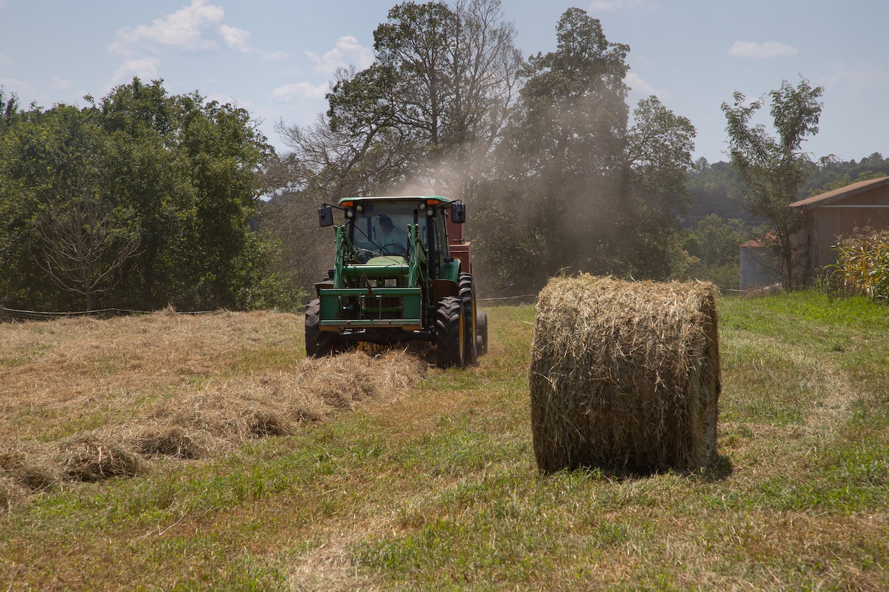 A person mows a pasture with a tractor.