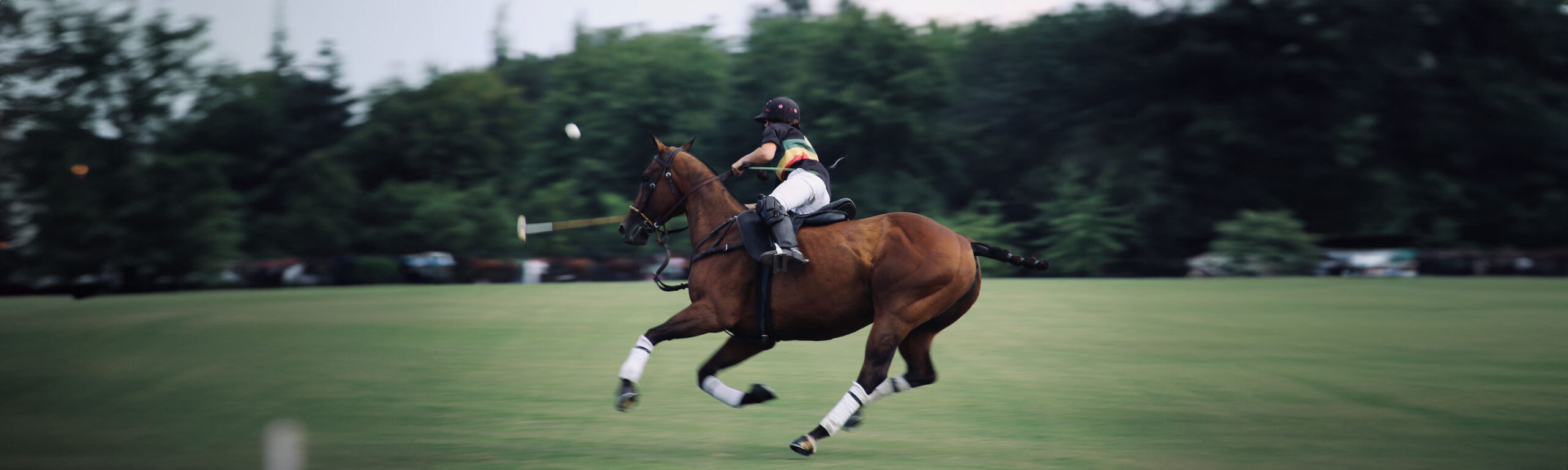 A polo player on a horse.