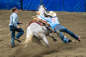 Rodeo cowboys and a horse