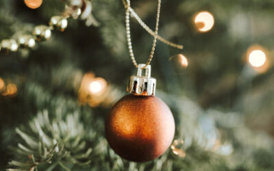 Citrus County Holiday Events 2023