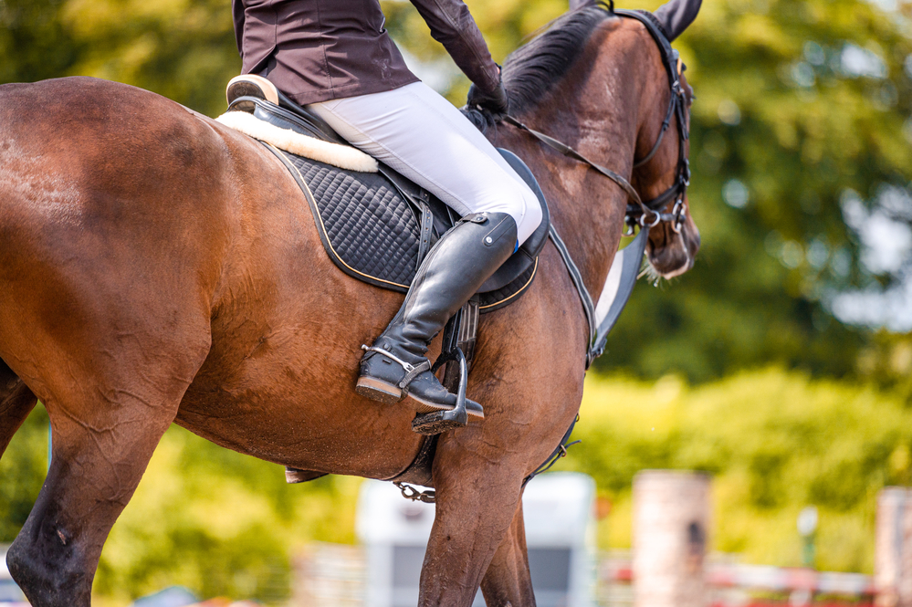 Depositphotos_395218736_S An equestrian sitting upon a horse