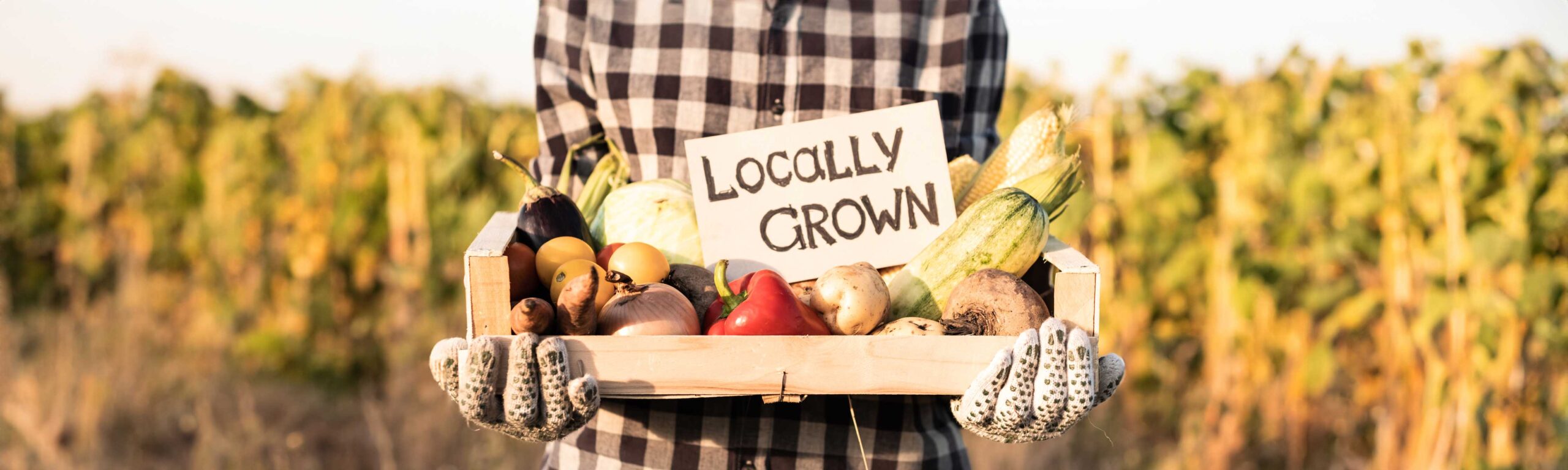 A person holding a "Locally Grown" sign and produce.