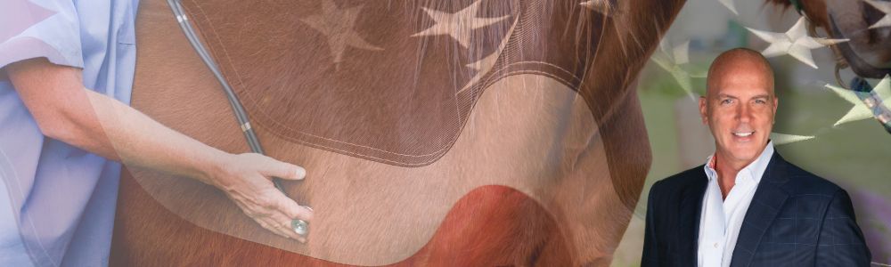 vito Header vito delvento REALTOR®