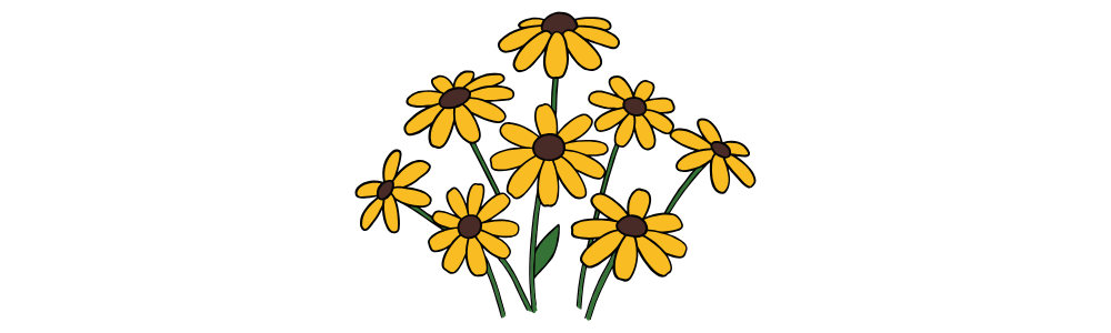 3 Illustration of black-eyed susan flowers