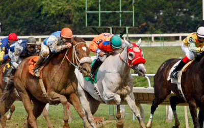 Preakness 2025 | Local Contenders