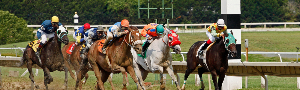 3 Horses racing on a track