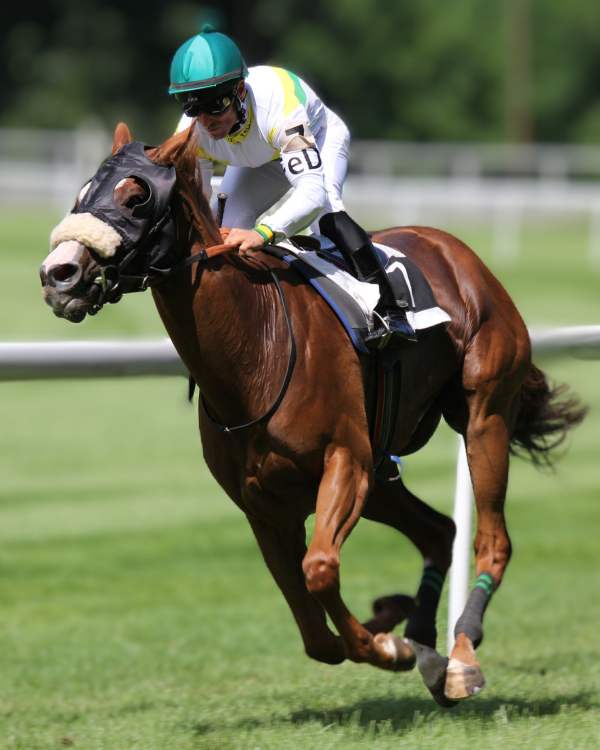 Racehorse A racehorse training on a track
