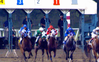 Belmont 2025 | Local Contenders